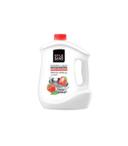 golsang-strawberry-3750-vesmeh-com_26c43_1733248145624.jpg