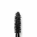 large-mascara-brush-vesmeh_38f81_1736252265783.jpeg