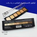 Golen-Rose-Correct-and-Conceal-Cream-Palette-N02-vesmeh-com_452d1_1725096359128.jpg